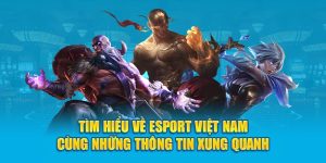 Esport Việt Nam 2024 Cùng Những Thông Tin Xung Quanh